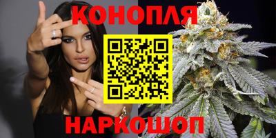 мдпв Обь
