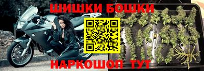 прущие грибы Первоуральск