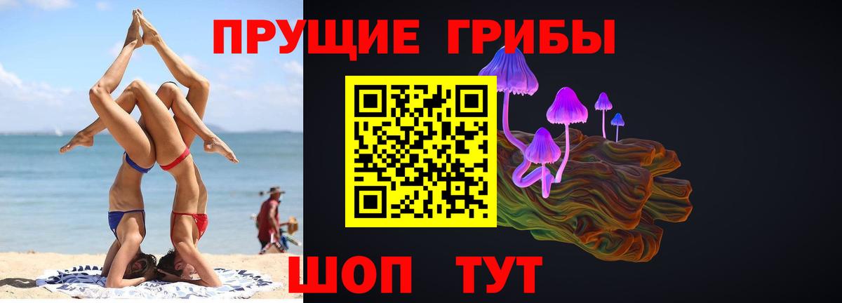 Урюпинск  Псилоцибиновые грибы прущие грибы  Вход с VPN 
